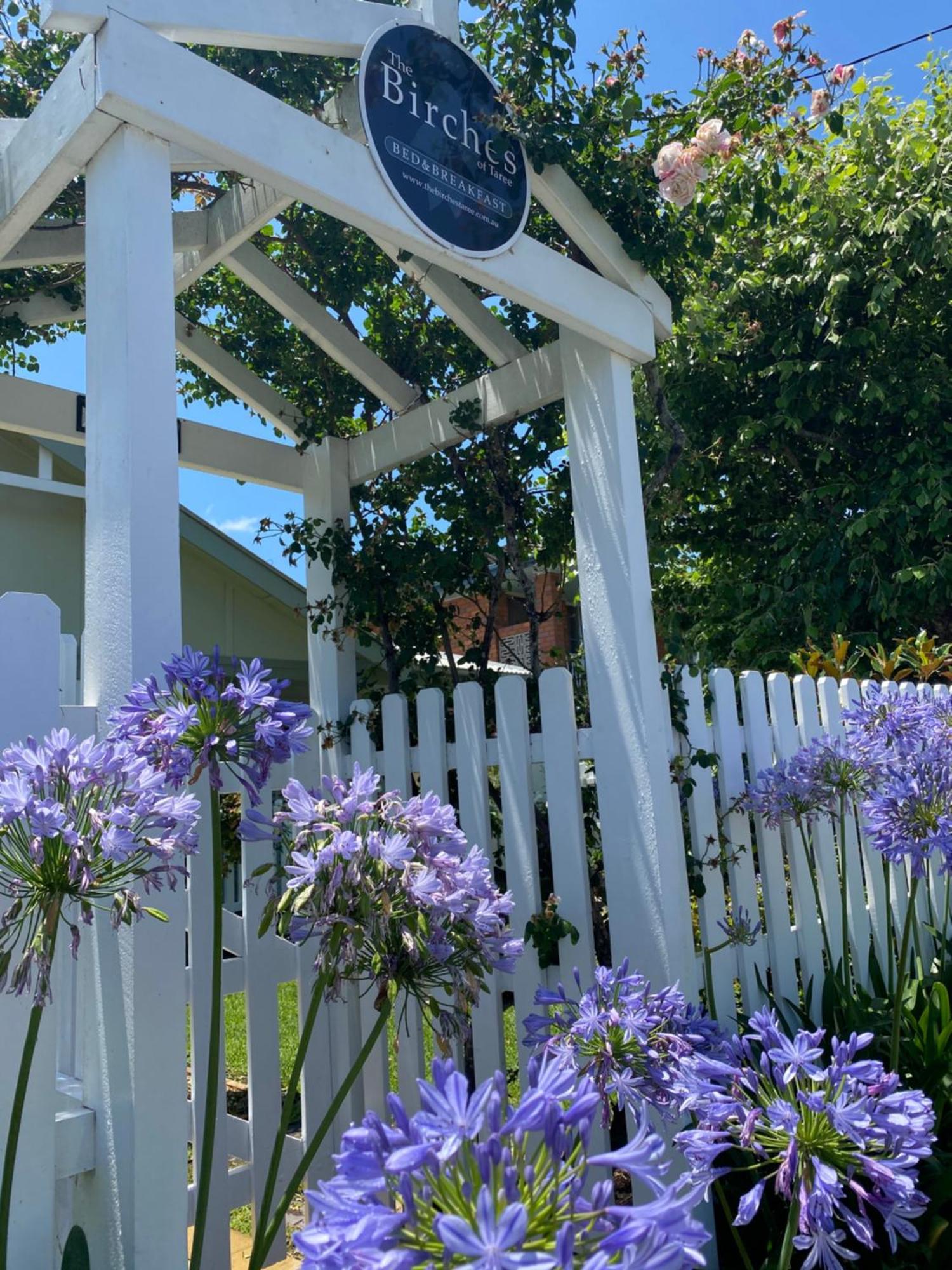 Birches B&B Taree Exterior foto
